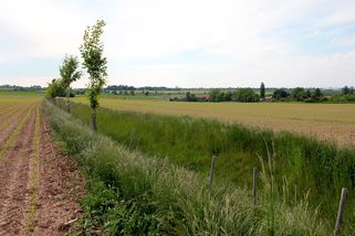 Zelený kruh: Vyzýváme ministra k dialogu. Ochrana životního prostředí není luxus, ale ústavní povinnost - Ekolist.cz